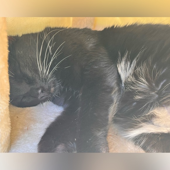 Meet your Posher, Neftali - Picture 4 of 6